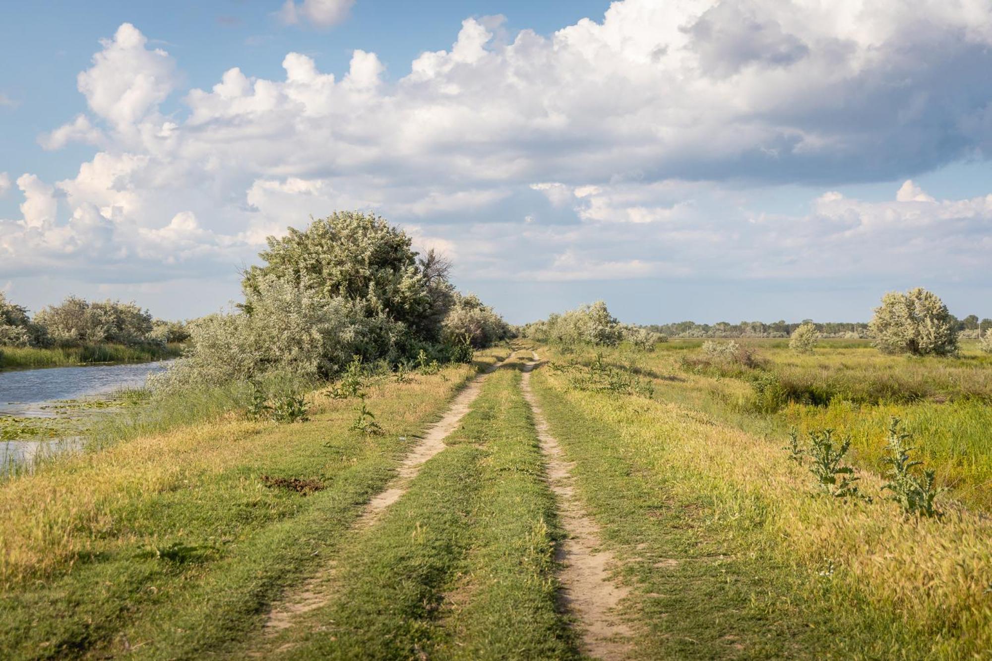 Hotel Dolphin Camping Sfântu Gheorghe Zewnętrze zdjęcie